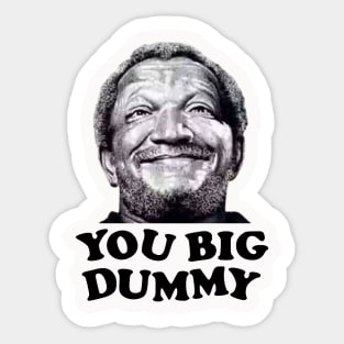 FUNNY YOU BIG DUMMY Sticker